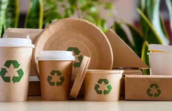 Sustainable Eco-Friendly Packaging