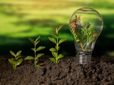 Environmental & Sustainability