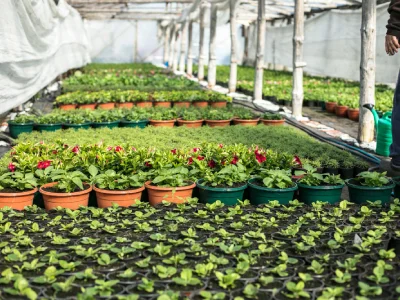 Agriculture & Horticulture